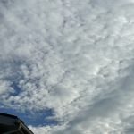 ふるさと納税するなら確定申告をしてみよう