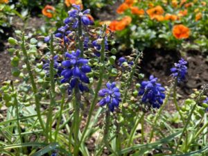 若者が叩かれがちなのは、実は「羨ましい」からじゃない？