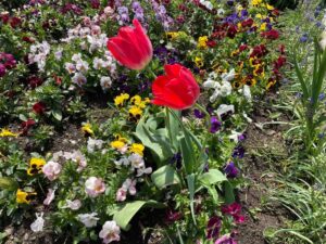 「自分の強みが分からない」あなたへ。簡単に“強み”を作る方法