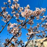 環境は大切だけど、どうやって自分の所属する環境を選んだらいいのだろうか