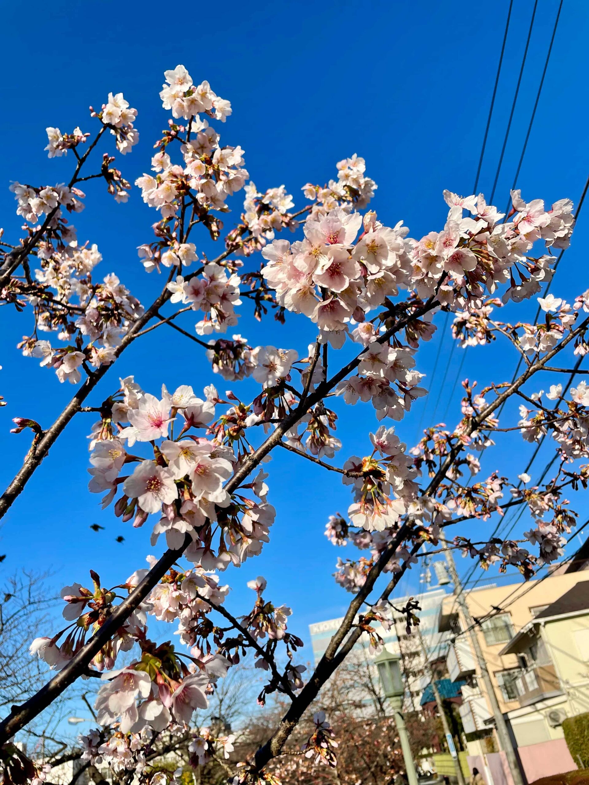 環境は大切だけど､どうやって自分の所属する環境を選んだらいいのだろうか