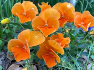 いつ税理士に依頼するのか？