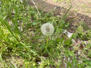 1人で独立起業するからこそ、1人にはなれない