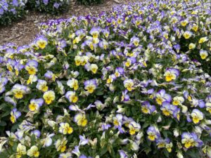 子育てする体力なんて自信ない！と思う未来のお父さんへ