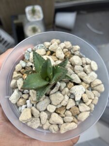 独立開業して8ヶ月が経過して思うこと